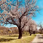Panoráma Casa de Férias Szentbekkalla