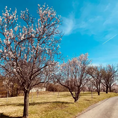 Panoráma * Szentbekkalla