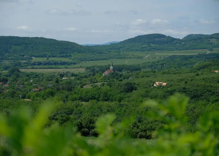 Panoráma Szentbekkalla